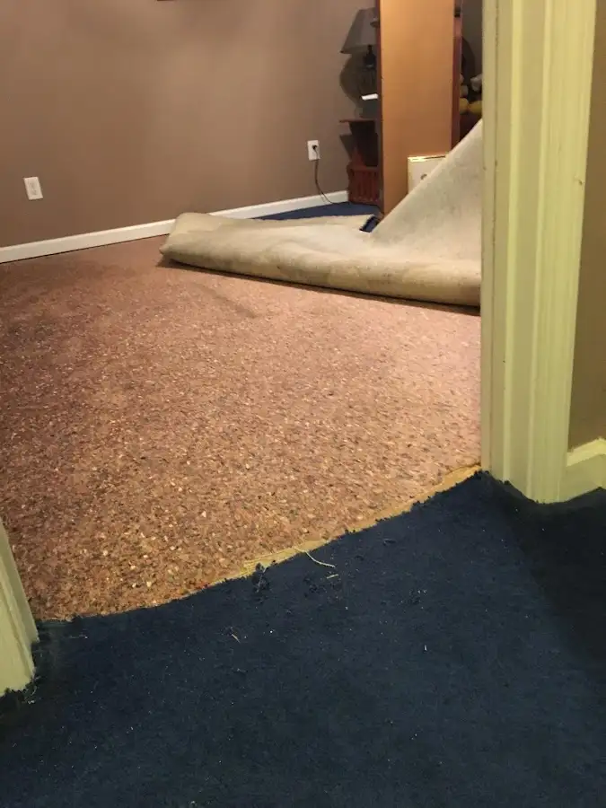 Carpet pad removal revealing water damage during Drying & Dehumidification in Arlington