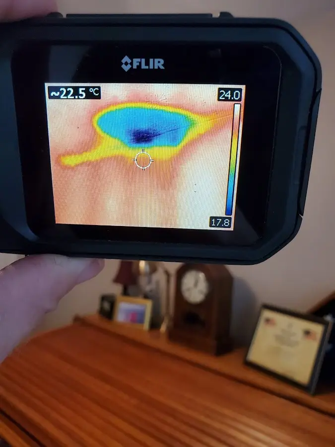 Thermal imaging inspection for water damage in Arlington
